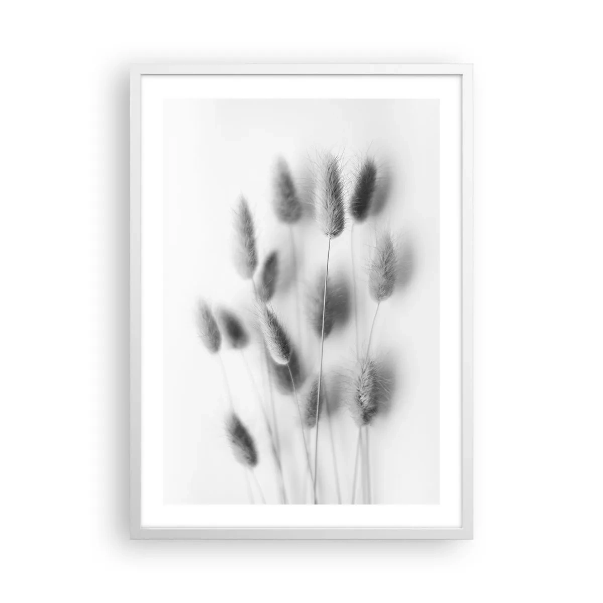 Poster in einem weißen Rahmen - Eure flauschige Grashoheit - 50x70 cm