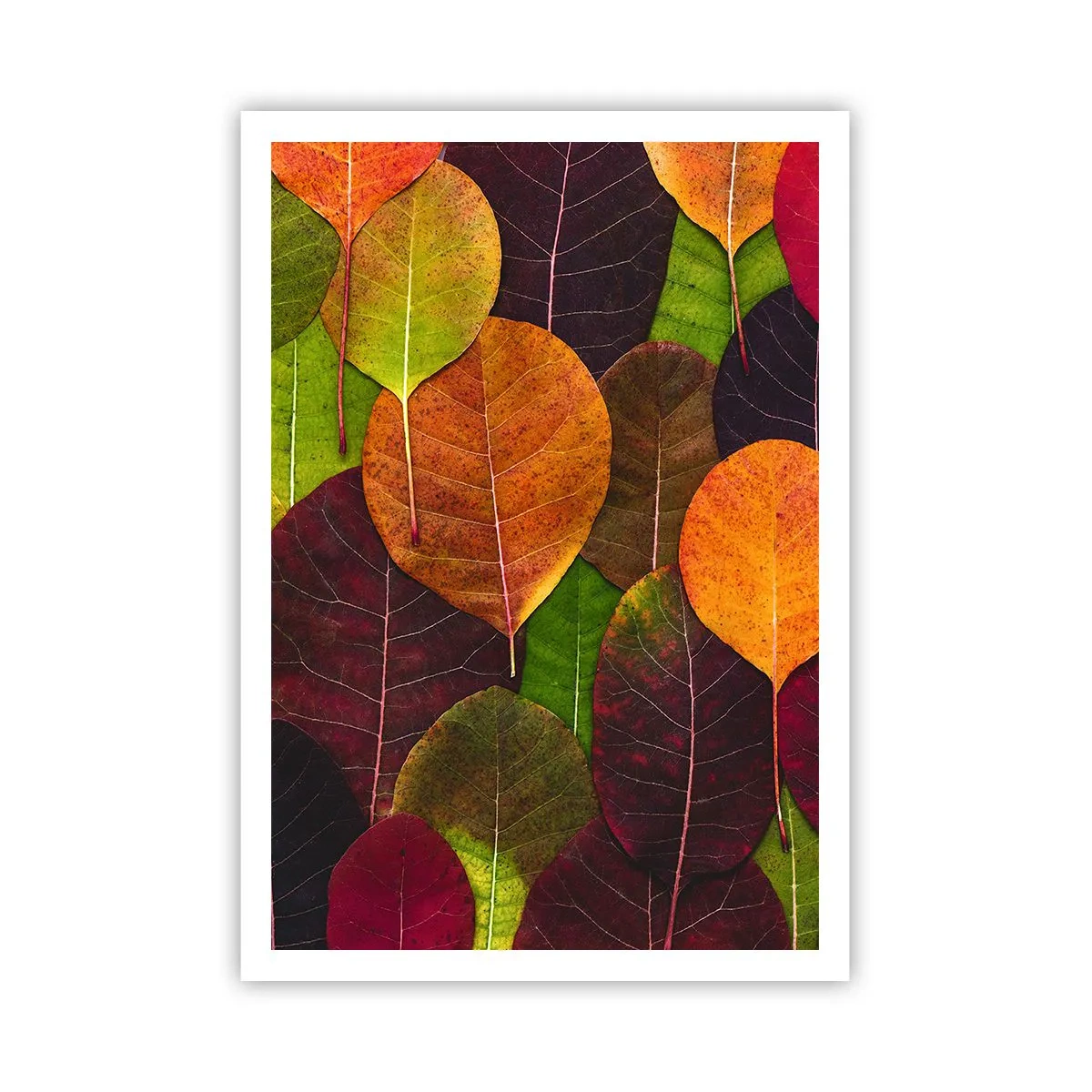 Poster - Herbstmosaik - 70x100 cm