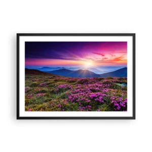Poster in einem schwarzem Rahmen - Bergwiese mit Blumen bei Sonnenuntergang - 70x50cm - Kräuter dufteten nach frischen Trauben von den Feldern - Moderne Wanddekoration für Wohnzimmer und Schlafzimmer ARTTOR