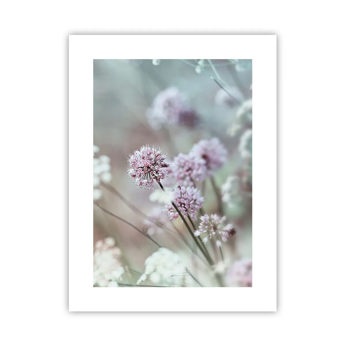Poster - Süße filigrane Kräuter - 30x40 cm