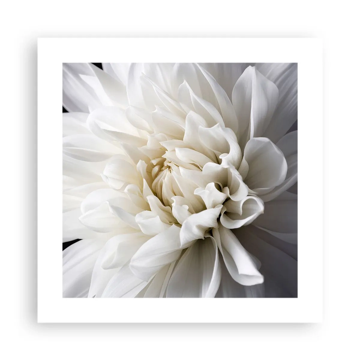 Poster - Der Morgen der Braut - 40x40 cm