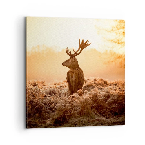 Bild auf Leinwand - Leinwandbild - Herr im eigenen Land - 60x60 cm