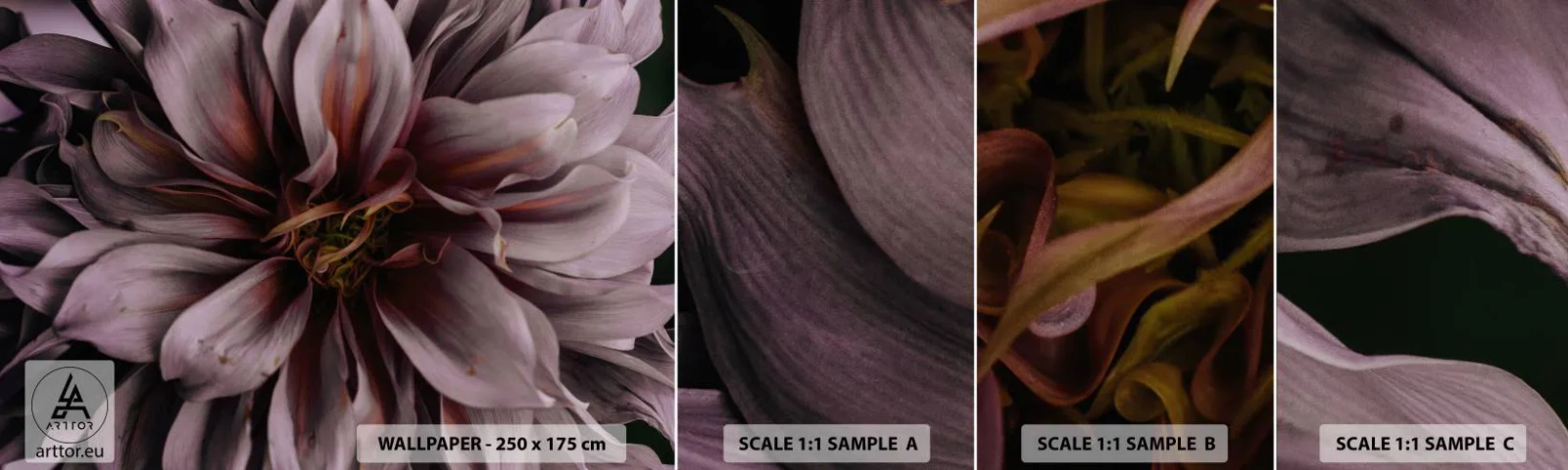 Fototapetenmuster Standard Eco - Ein Blumenherz - Blumenstrauß, Dahlie, Blume - 100x30 cm