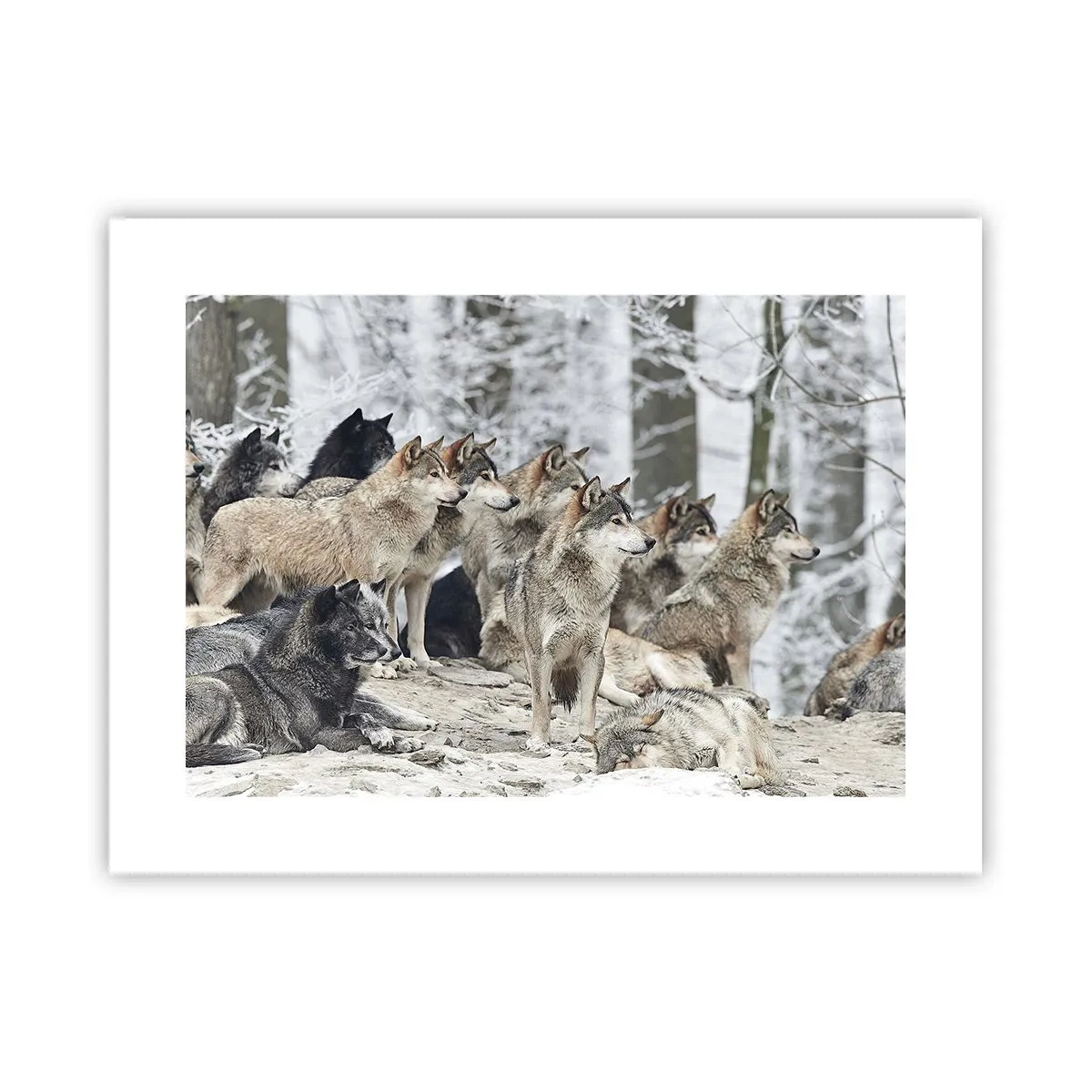 Poster - Familie und Freunde - 40x30 cm