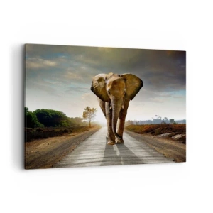 Bild auf Leinwand - Leinwandbild - Ein Elefant, der bei Sonnenuntergang auf einer Straße durch eine Landschaft läuft - 100x70cm - Und schon gar nicht in einem Porzellanlager - Moderne Wanddekoration für Wohnzimmer und Schlafzimmer ARTTOR
