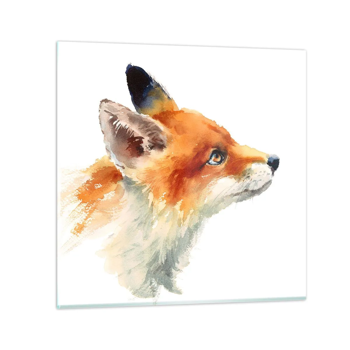 Glasbild - Bild auf glas - Man kann nie vorsichtig genug sein - 50x50 cm