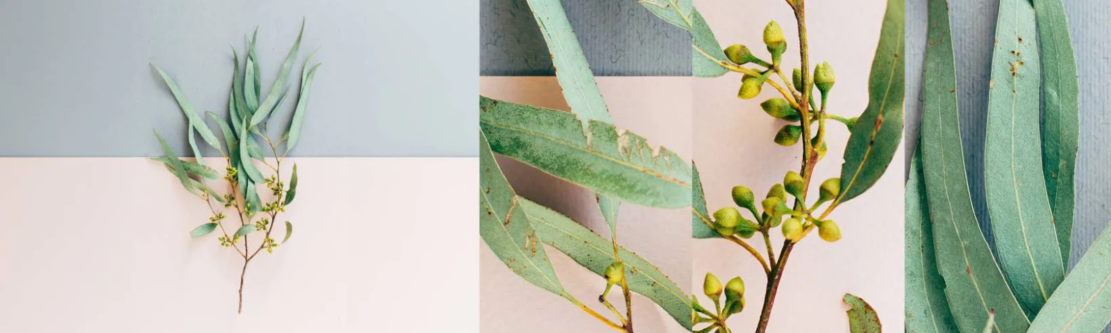 Fototapeten Muster Selbstklebend Deluxe Sticker - Pastellige Subtilität - Pastell, Anlage, Boho - 100x30 cm