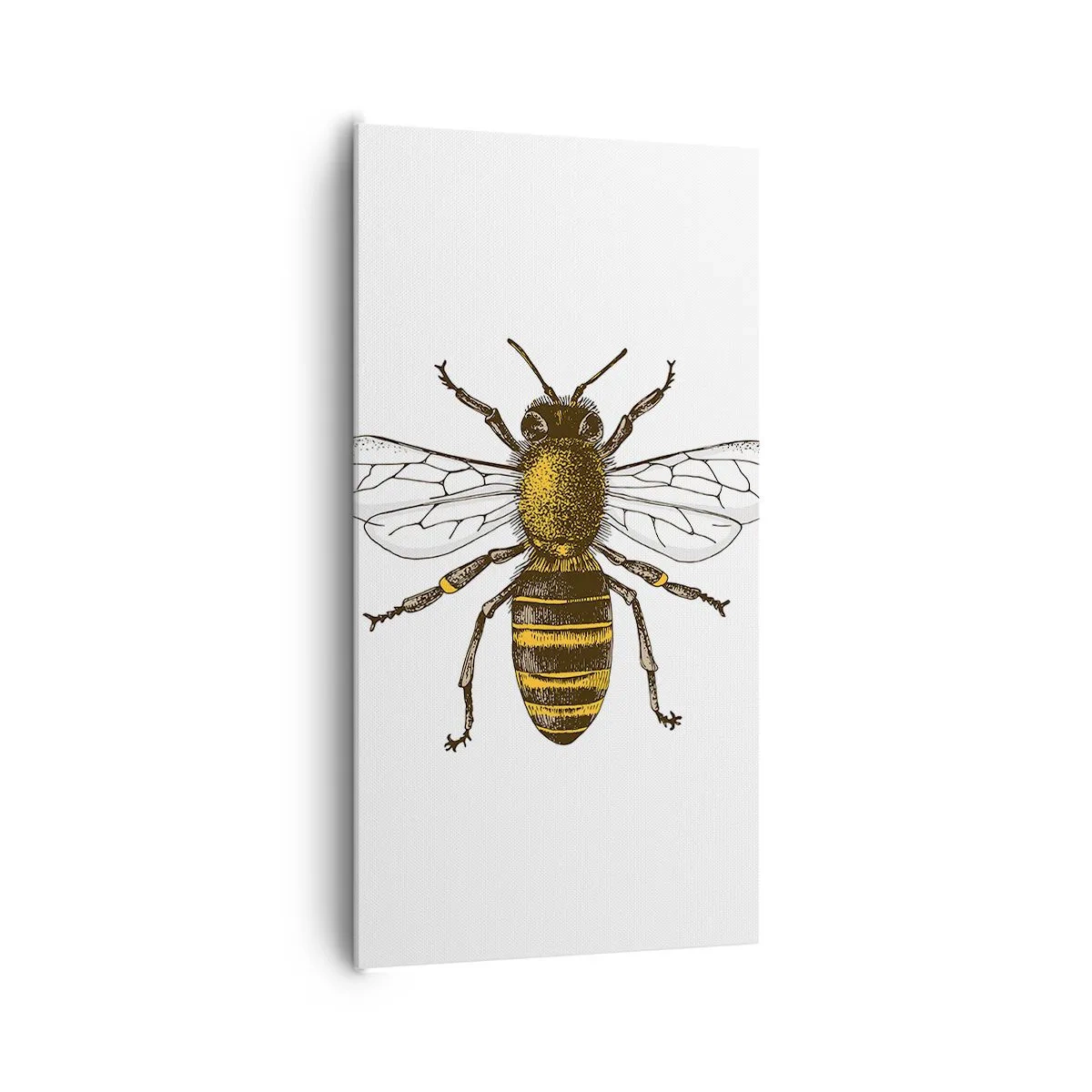 Bild auf Leinwand - Leinwandbild - Schön und gut - 65x120 cm