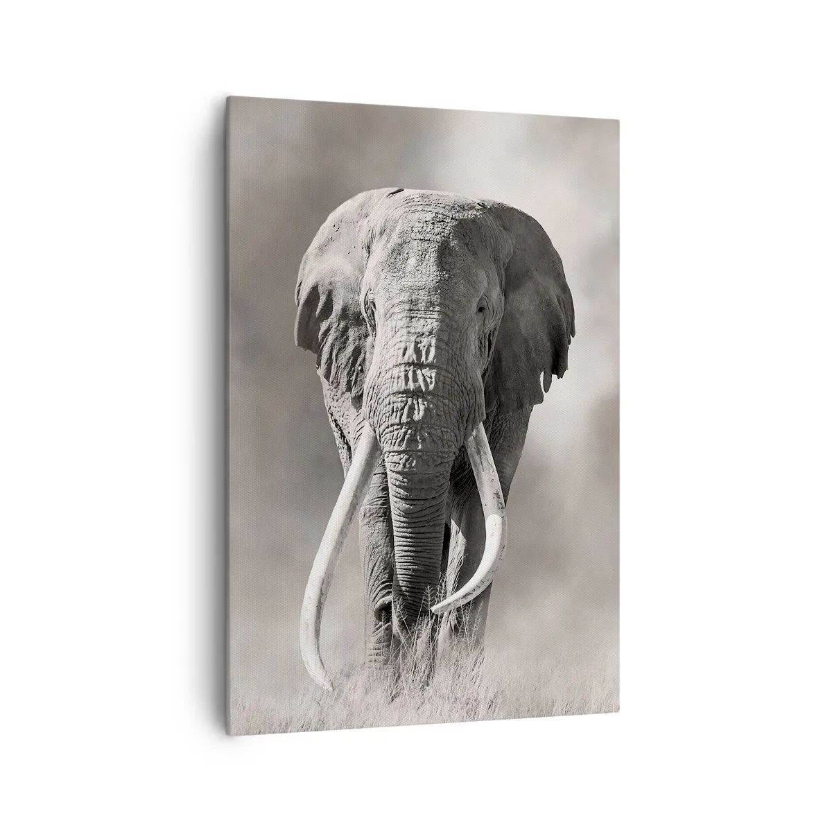 Bild auf Leinwand - Leinwandbild - Afrikanischer Patriarch - 70x100 cm