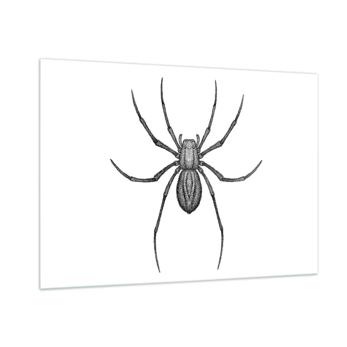 Glasbild - Bild auf glas - Retro-Stil Illustration einer schwarzen Spinne auf weißem Hintergrund - 100x70cm - Beunruhigende Präzision - Moderne Wanddekoration für Wohnzimmer und Schlafzimmer ARTTOR
