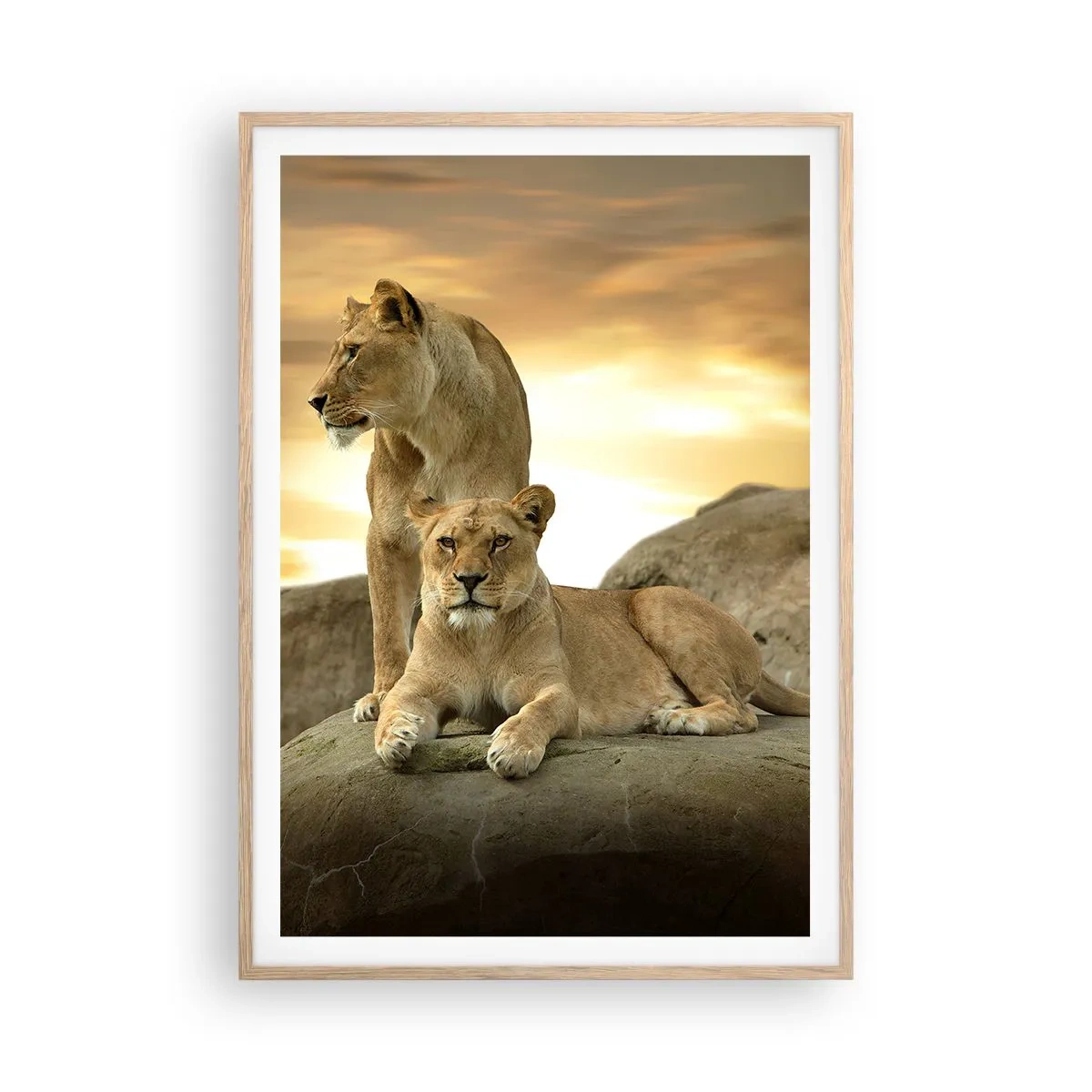 Poster in einem Rahmen aus heller Eiche - Königliche Majestät - 70x100 cm