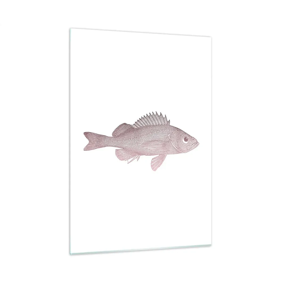 Glasbild - Bild auf glas - Grafik eines Fisches mit großem Auge im Retro-Stil auf weißem Hintergrund - 50x70cm - Großäugiger Fisch - Moderne Wanddekoration für Wohnzimmer und Schlafzimmer ARTTOR