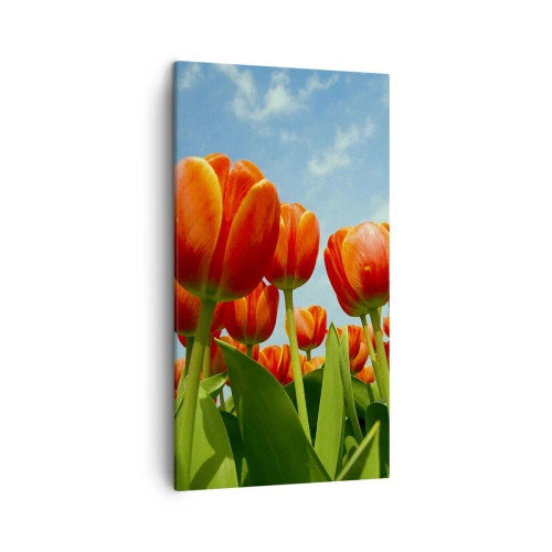 Bild auf Leinwand - Leinwandbild - Außer dem blauen Himmel brauchen sie nichts in ihrem Leben - 45x80 cm