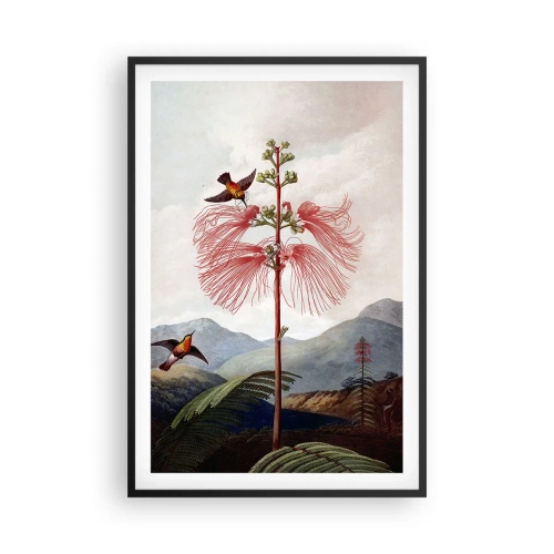 Poster in einem schwarzem Rahmen - In einem tropischen Paradies - 61x91 cm