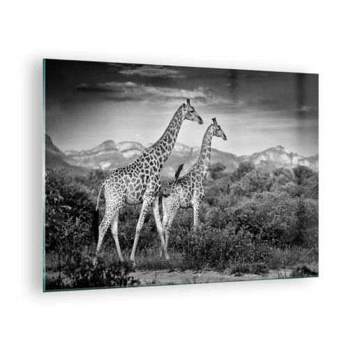 Glasbild - Bild auf glas - Ein Schwarzweißfoto von zwei Giraffen in der Savanne. - 70x50cm - Hohe Sphären in Afrika - Moderne Wanddekoration für Wohnzimmer und Schlafzimmer ARTTOR