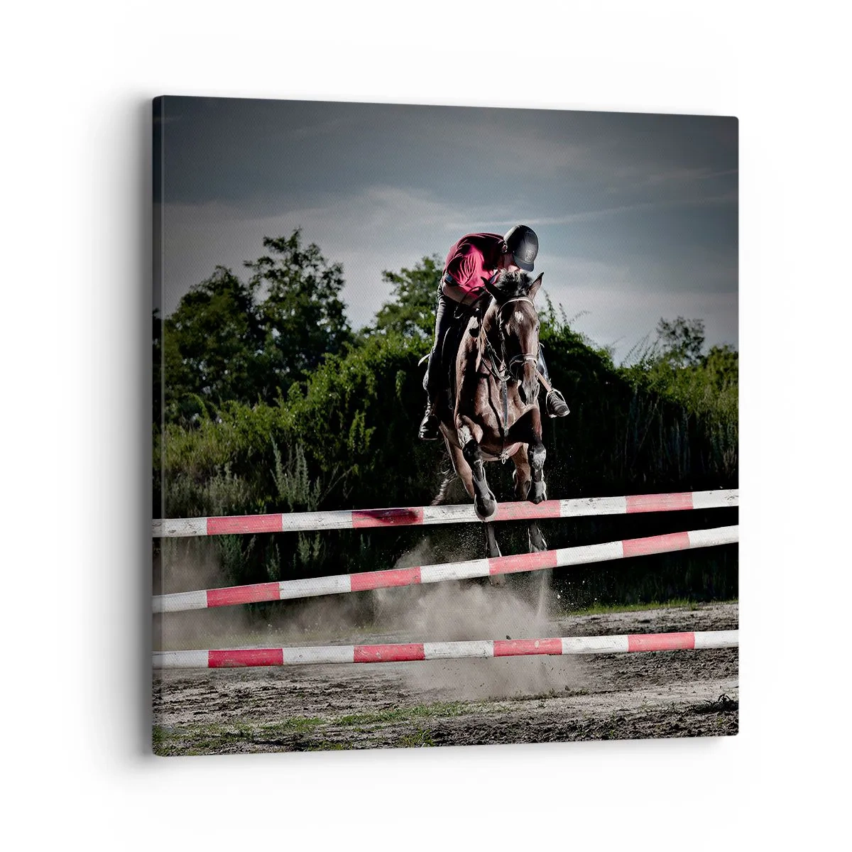 Bild auf Leinwand - Leinwandbild - Gemeinsam zum Sieg - 40x40 cm