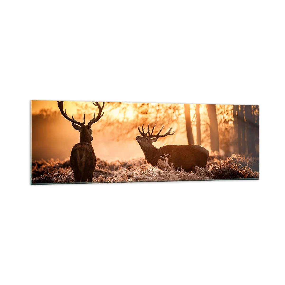 Glasbild - Bild auf glas - Zwei Hirsche bei Sonnenuntergang in einer Winterlandschaft - 160x50cm - Der Traum eines Jägers - Moderne Wanddekoration für Wohnzimmer und Schlafzimmer ARTTOR