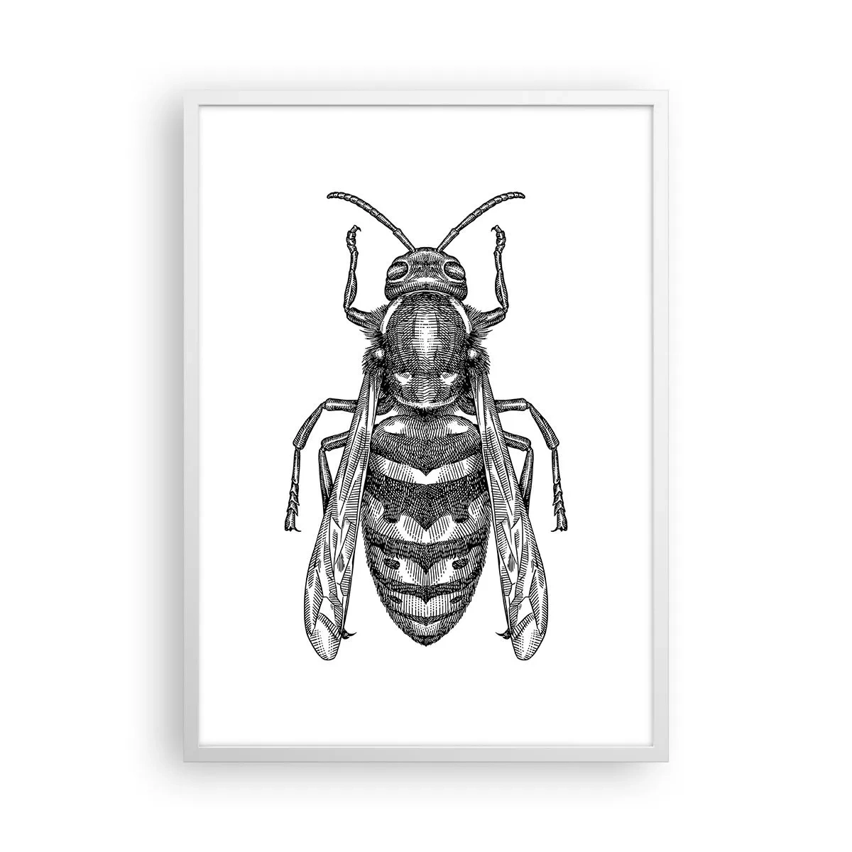 Poster in einem weißen Rahmen - Von einem Insektenplaneten - 50x70 cm