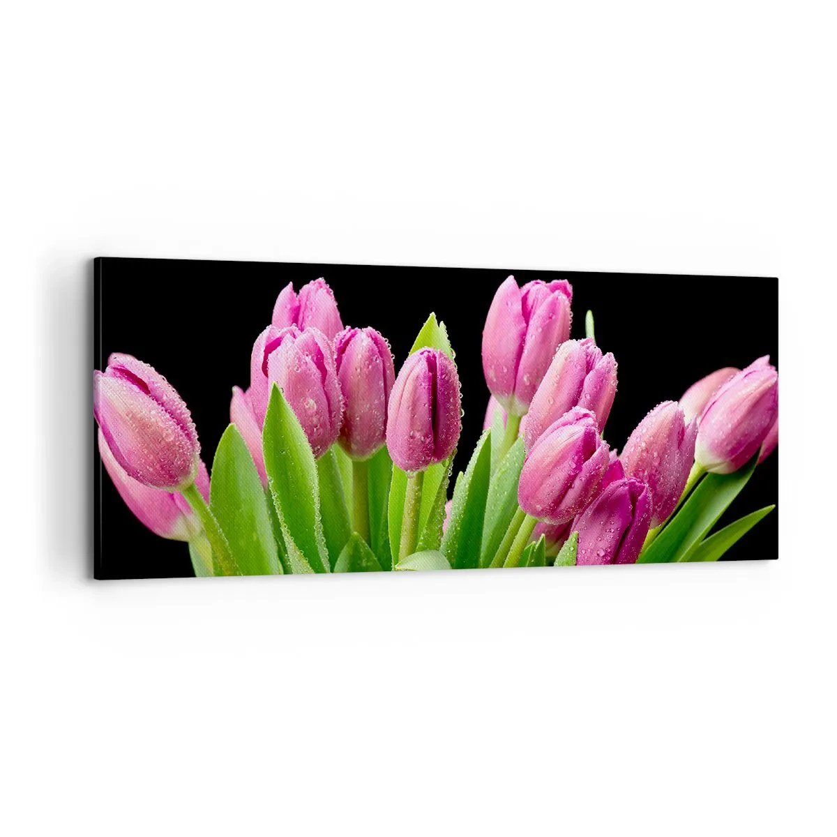 Bild auf Leinwand - Leinwandbild - Lila Frühlingsfreude - 100x40 cm