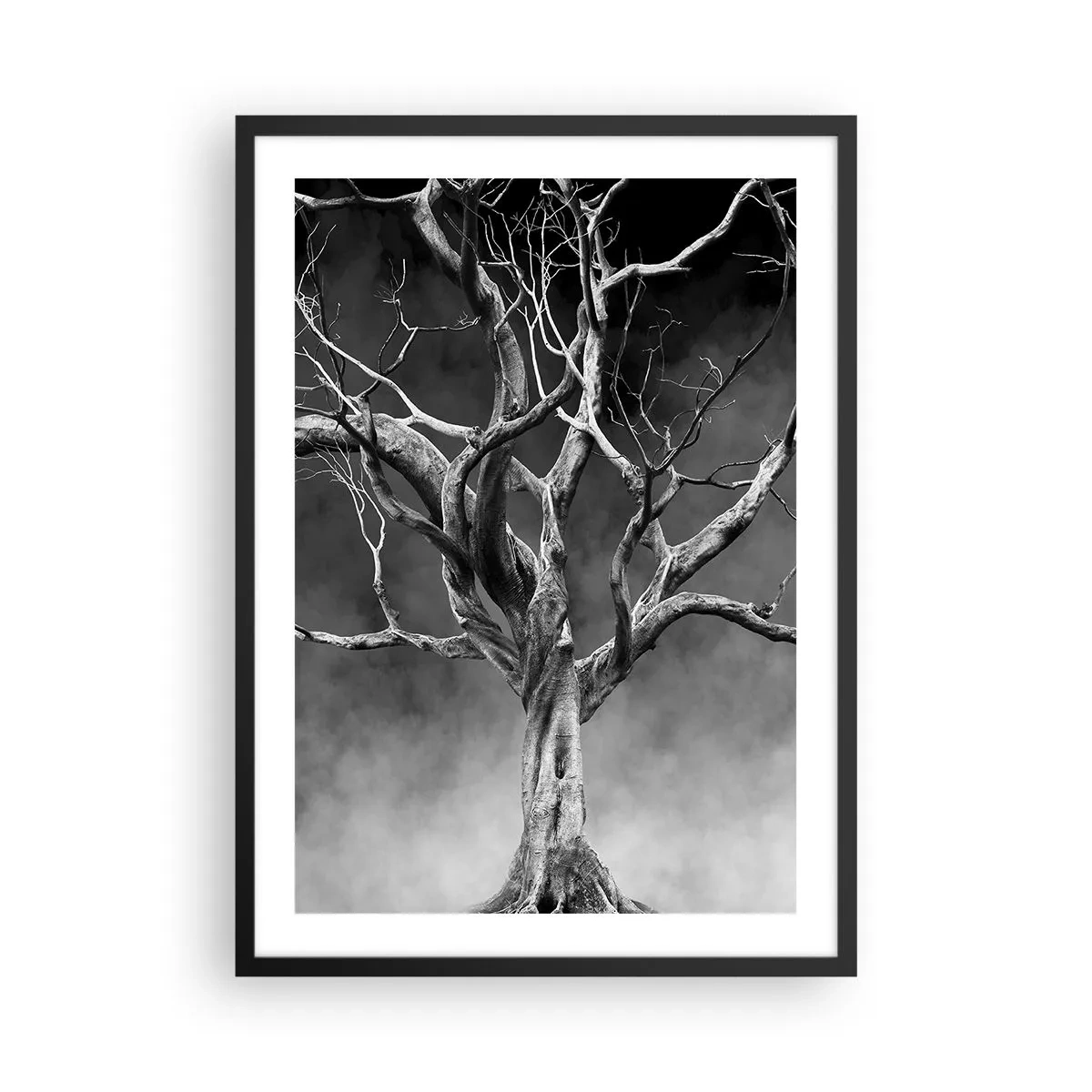 Poster in einem schwarzem Rahmen - Schwarz-Weiß-Bild eines Baumes vor einem Nebelhintergrund - 50x70cm - Ursprünglich und heilig - Moderne Wanddekoration für Wohnzimmer und Schlafzimmer ARTTOR
