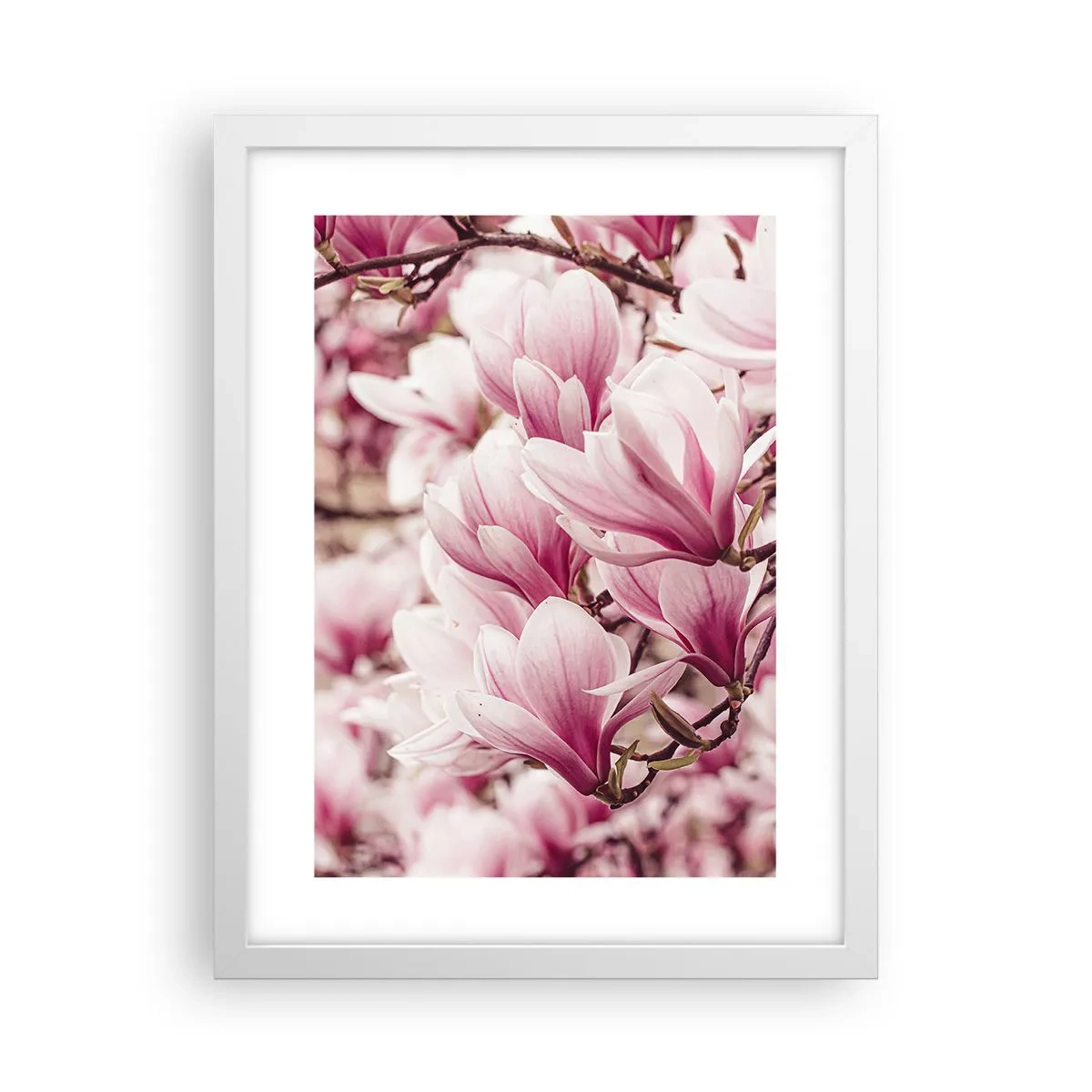 Poster in einem weißen Rahmen - Frühling ist rosa - 30x40 cm