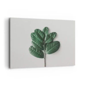 Bild auf Leinwand - Leinwandbild - Ein Zweig grüner Blätter auf hellem Hintergrund - 100x70cm - Eine Zeichnung purer Natur - Moderne Wanddekoration für Wohnzimmer und Schlafzimmer ARTTOR