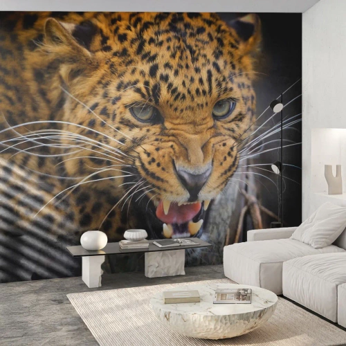 Maßgeschneiderte Fototapete Premium Canvas - Bleib zurück, ich warne dich! - Tiere, Leopard, Wilde Katze