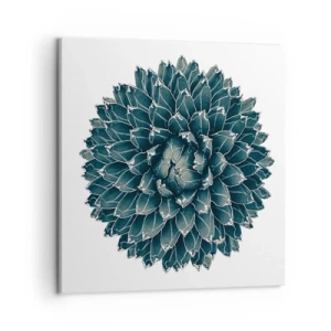 Bild auf Leinwand - Leinwandbild - Stern der Wüste - 60x60 cm