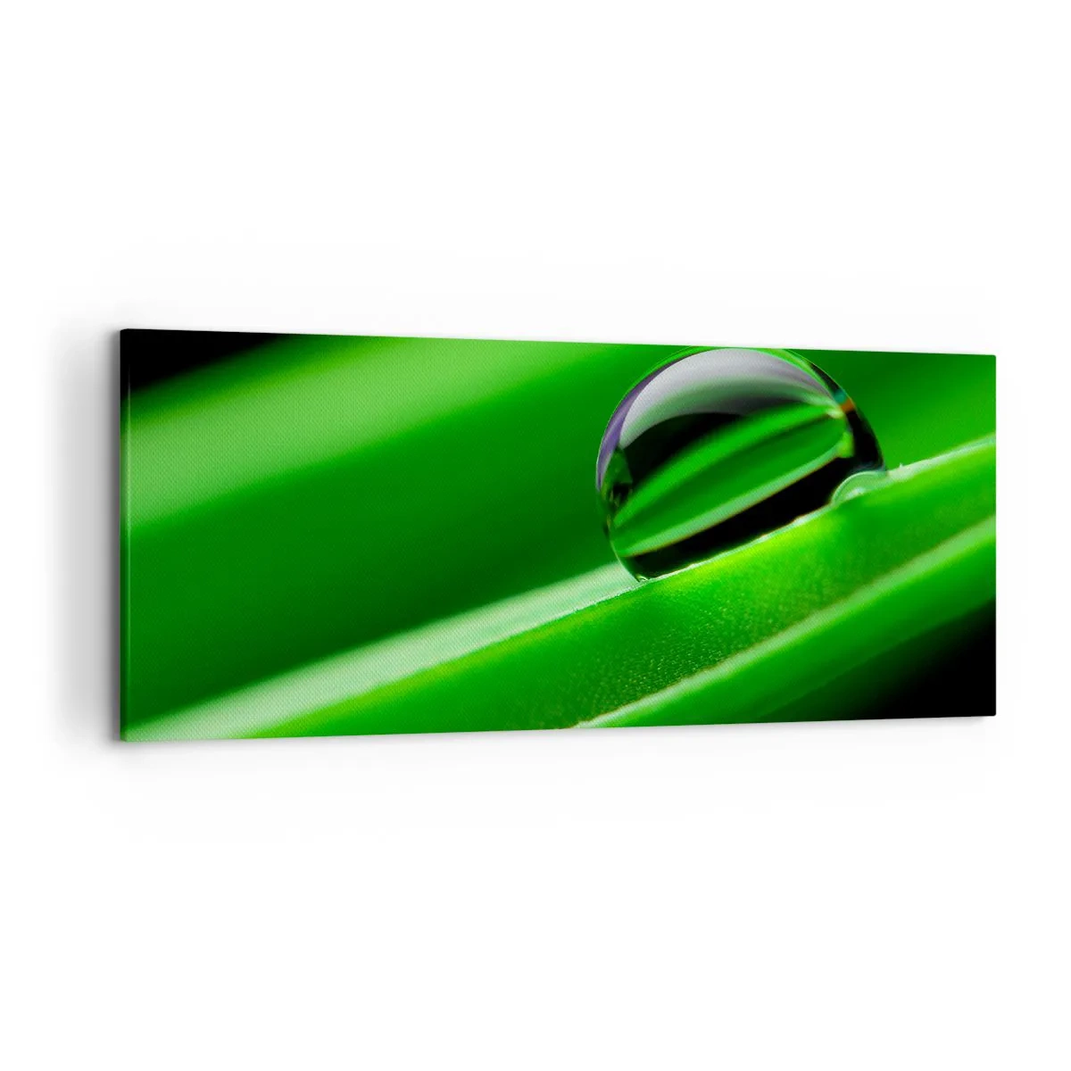 Bild auf Leinwand - Leinwandbild - Nahaufnahme eines Tautropfens auf einem grünen Blatt - 120x50cm - Leben hautnah - Moderne Wanddekoration für Wohnzimmer und Schlafzimmer ARTTOR