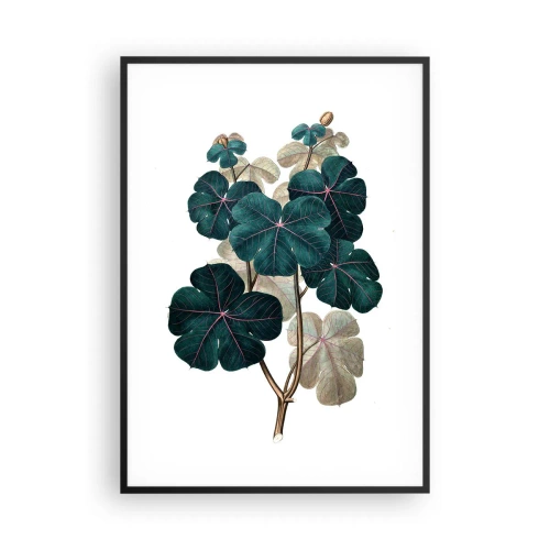 Poster in einem schwarzem Rahmen - Aus dem alten Herbarium - 70x100 cm