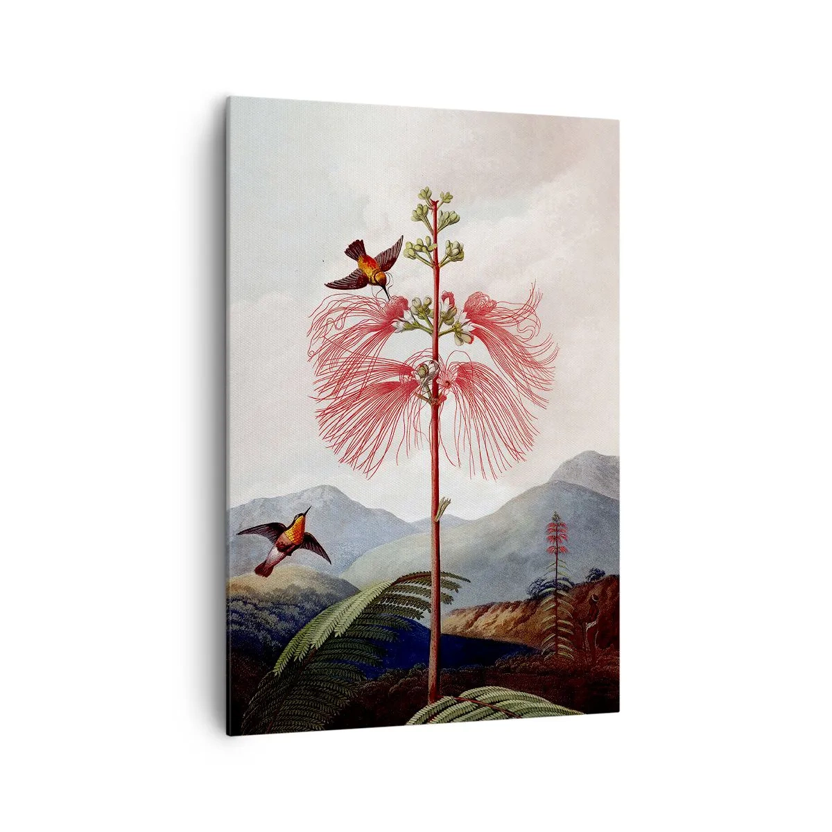 Bild auf Leinwand - Leinwandbild - In einem tropischen Paradies - 70x100 cm