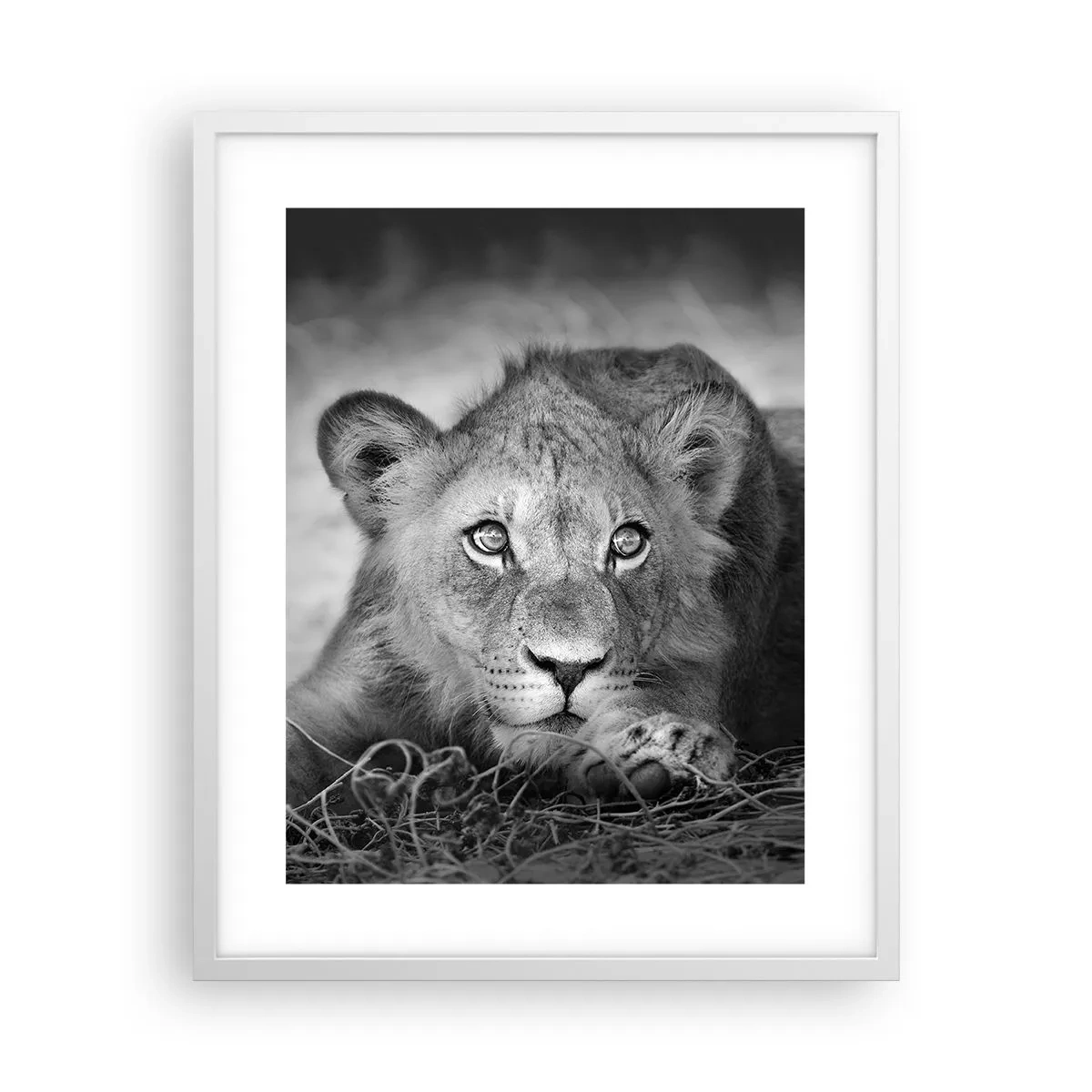 Poster in einem weißen Rahmen - Königlicher Welpe - 40x50 cm