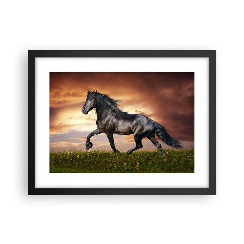 Poster in einem schwarzem Rahmen - Schwarzer Prinz - 40x30 cm