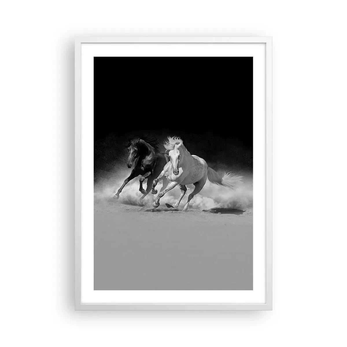 Poster in einem weißen Rahmen - Galopp der Freiheit - 50x70 cm