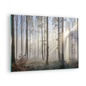Glasbild - Bild auf glas - Morgensonnenstrahlen durchdringen den nebligen Wald - 70x50cm - Der Nebel ist auch aufgewacht - Moderne Wanddekoration für Wohnzimmer und Schlafzimmer ARTTOR
