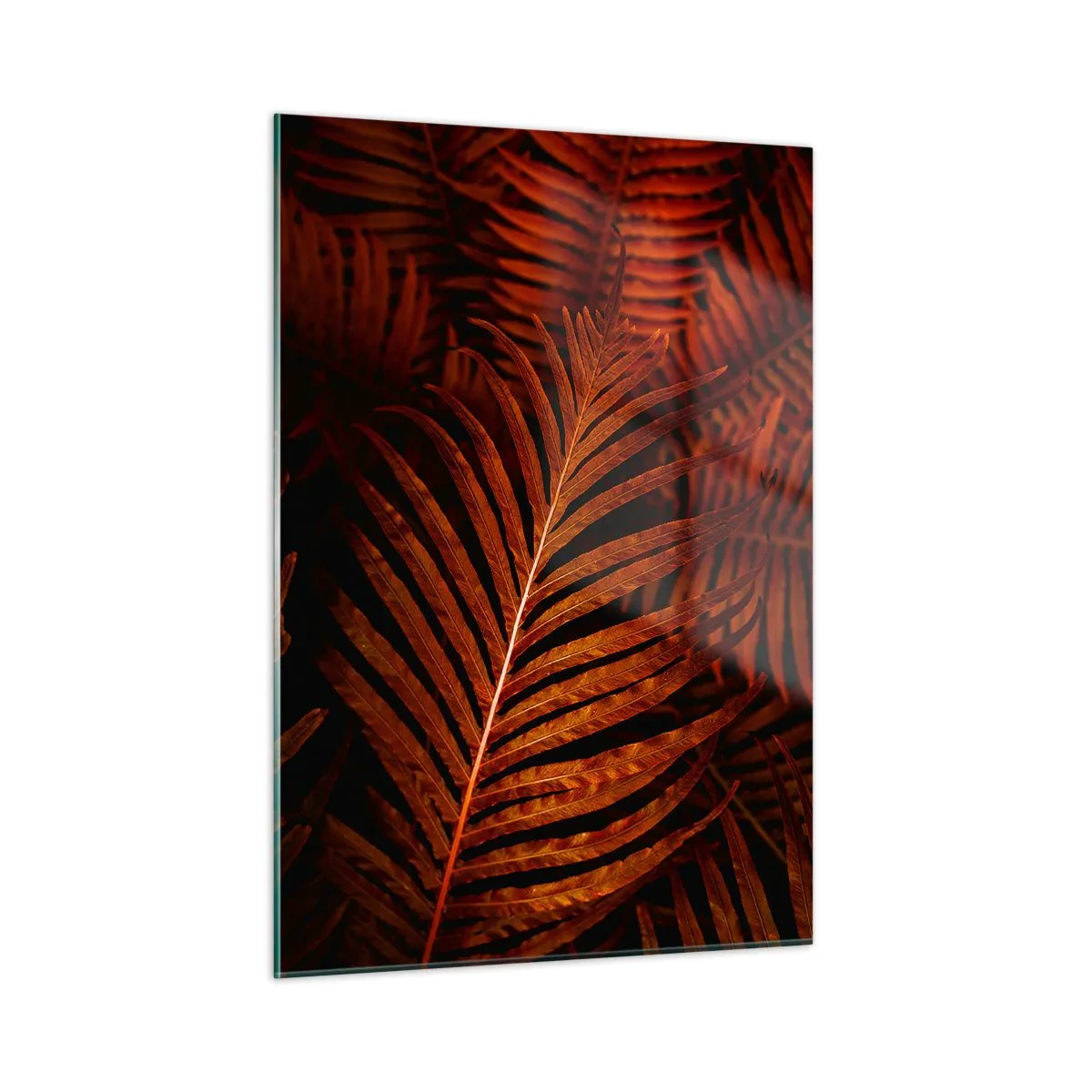 Glasbild - Bild auf glas - Rote Blätter einer tropischen Pflanze auf dunklem Hintergrund - 50x70cm - Die Hitze des Lebens - Moderne Wanddekoration für Wohnzimmer und Schlafzimmer ARTTOR