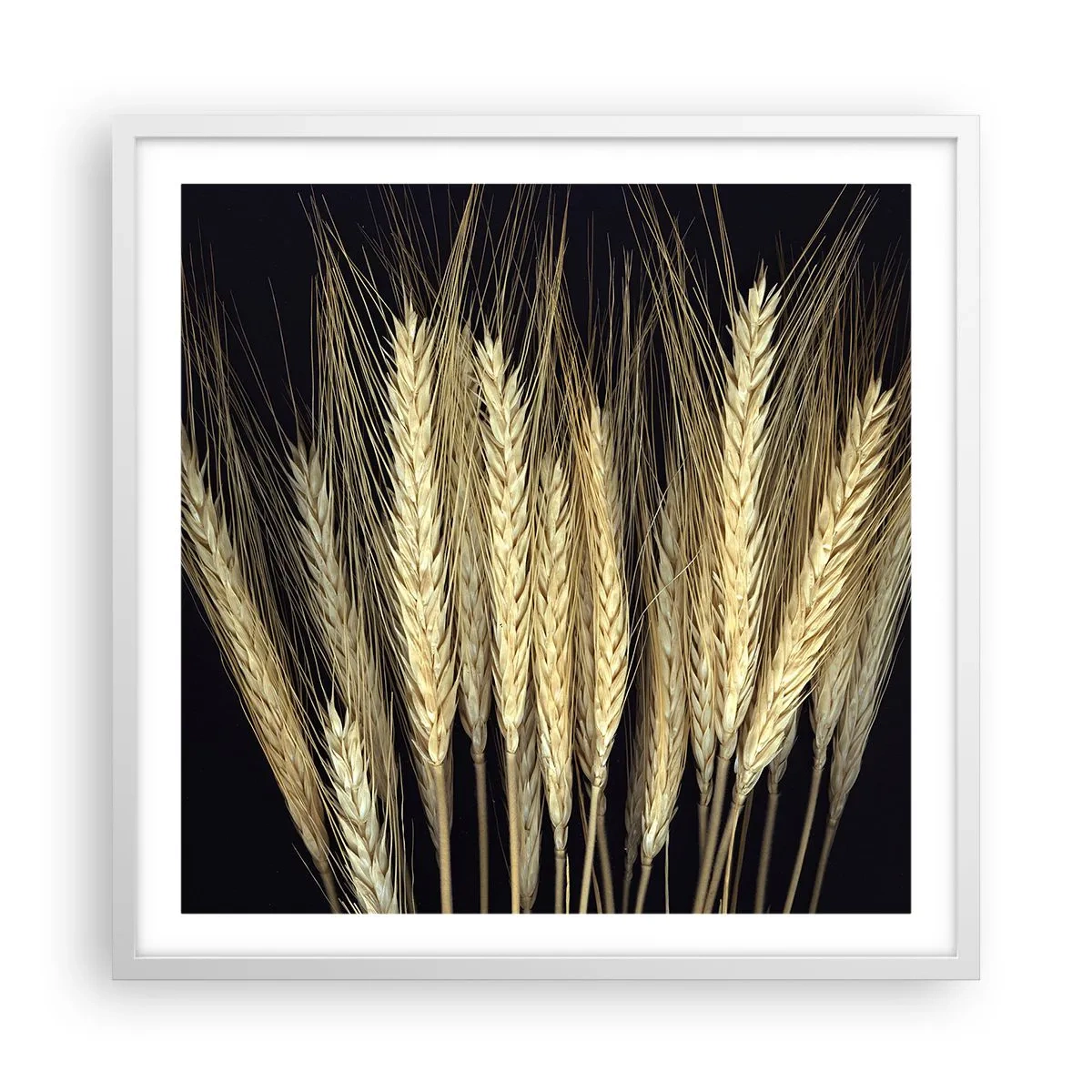 Poster in einem weißen Rahmen - Rustikale Magie - 60x60 cm