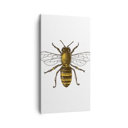 Bild auf Leinwand - Leinwandbild - Schön und gut - 45x80 cm