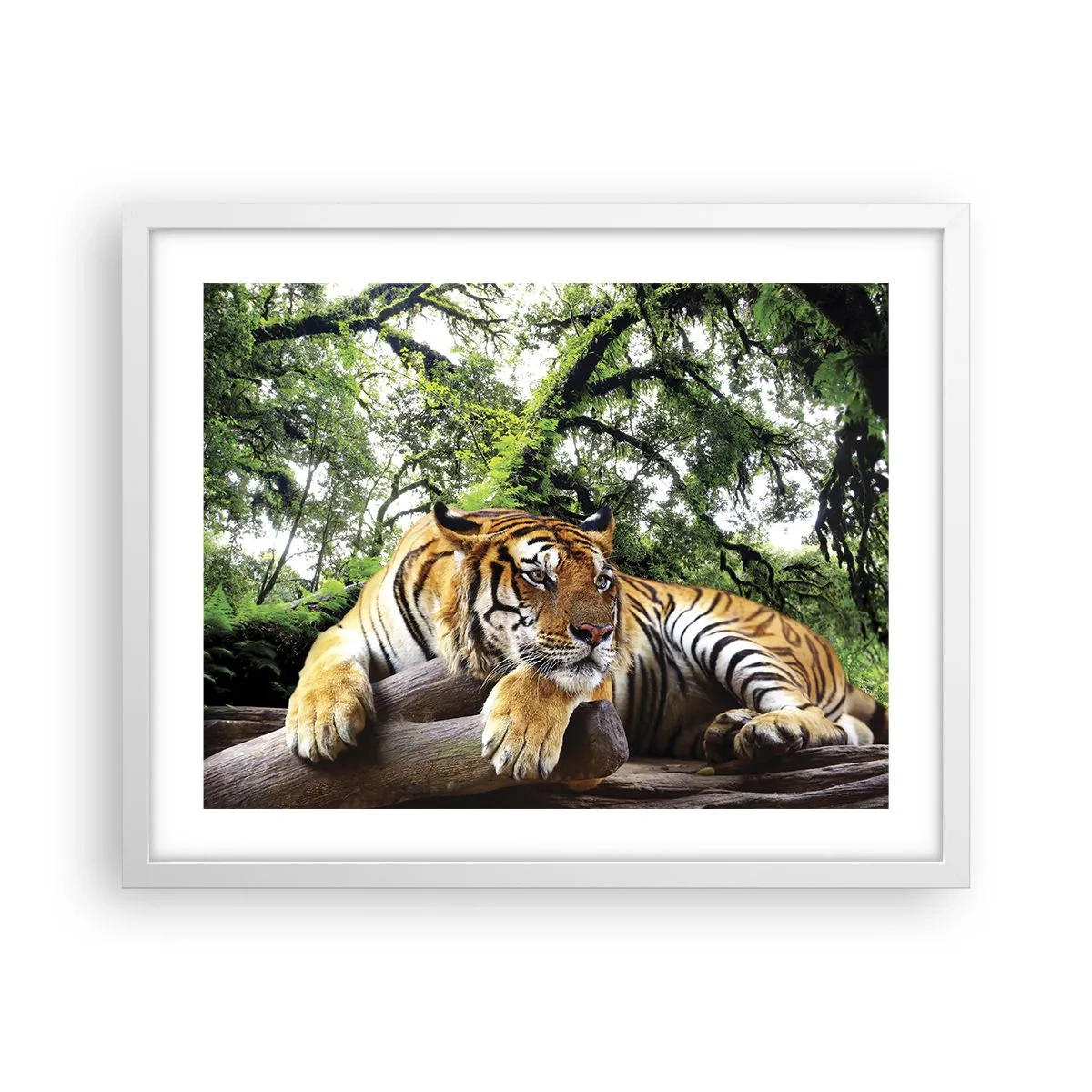 Poster in einem weißen Rahmen - Hochachtungsvoll - 50x40 cm