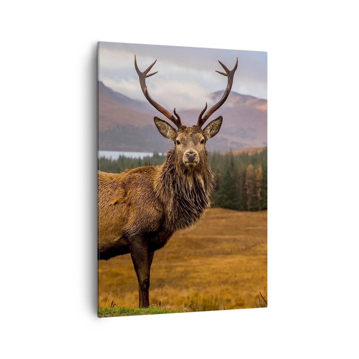 Bild auf Leinwand - Leinwandbild - Ein Hirsch vor der Kulisse einer Berglandschaft mit Seen und Wäldern - 70x100cm - Die Majestät der Natur - Moderne Wanddekoration für Wohnzimmer und Schlafzimmer ARTTOR