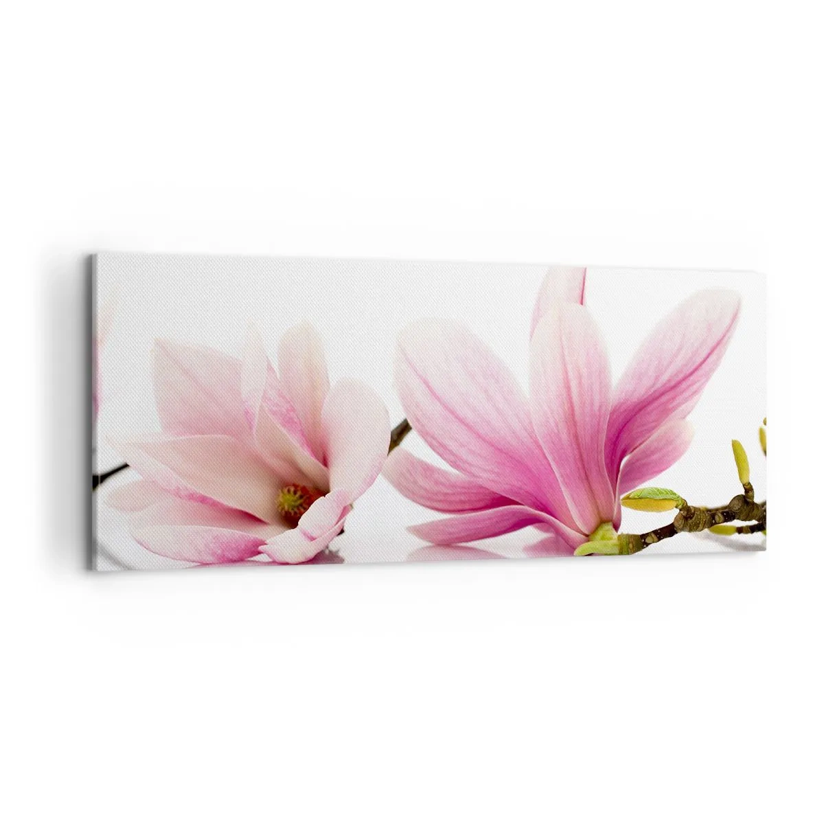 Bild auf Leinwand - Leinwandbild - Zart wie ein Frühlingswind - 100x40 cm
