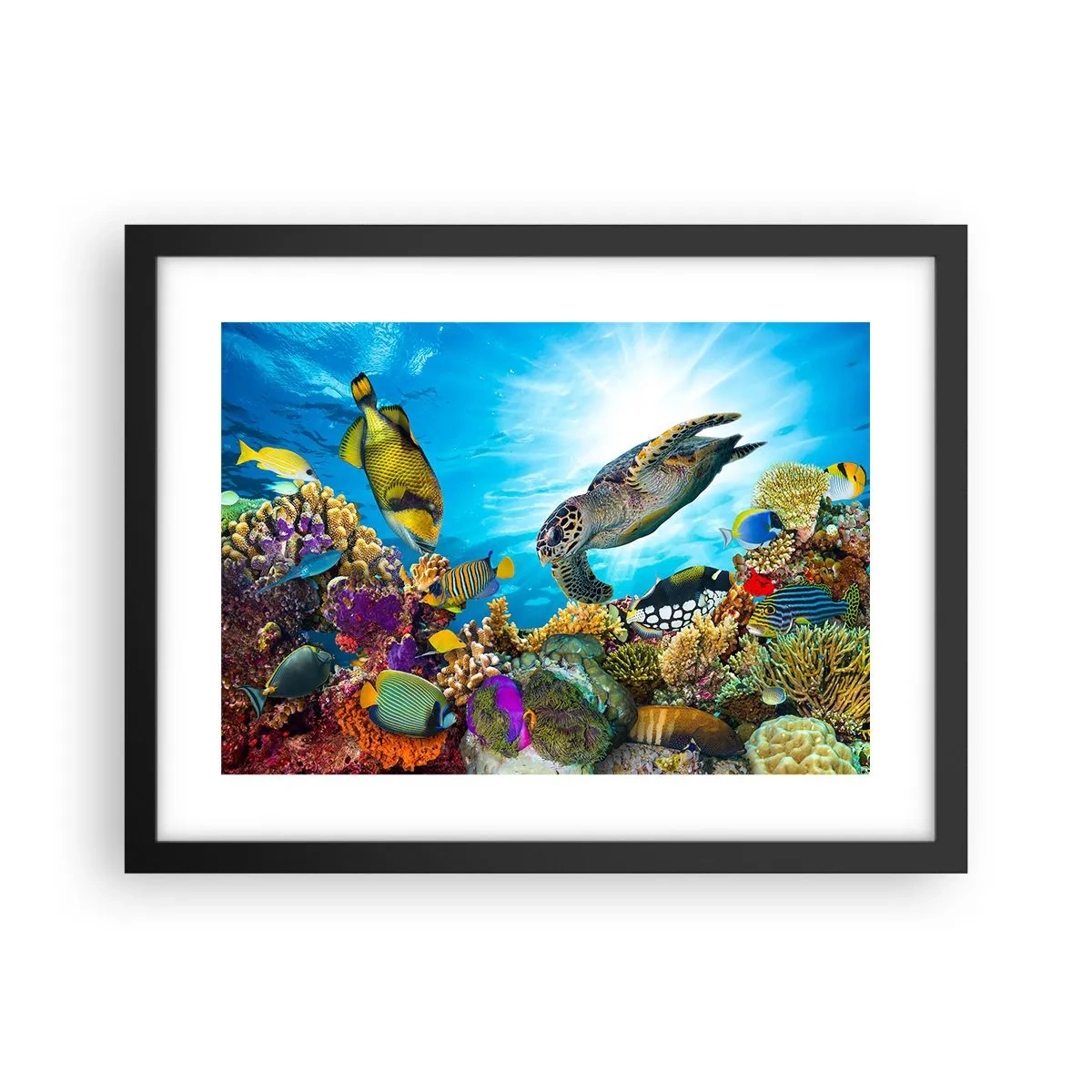 Poster in einem schwarzem Rahmen - Korallenpromenade - 40x30 cm