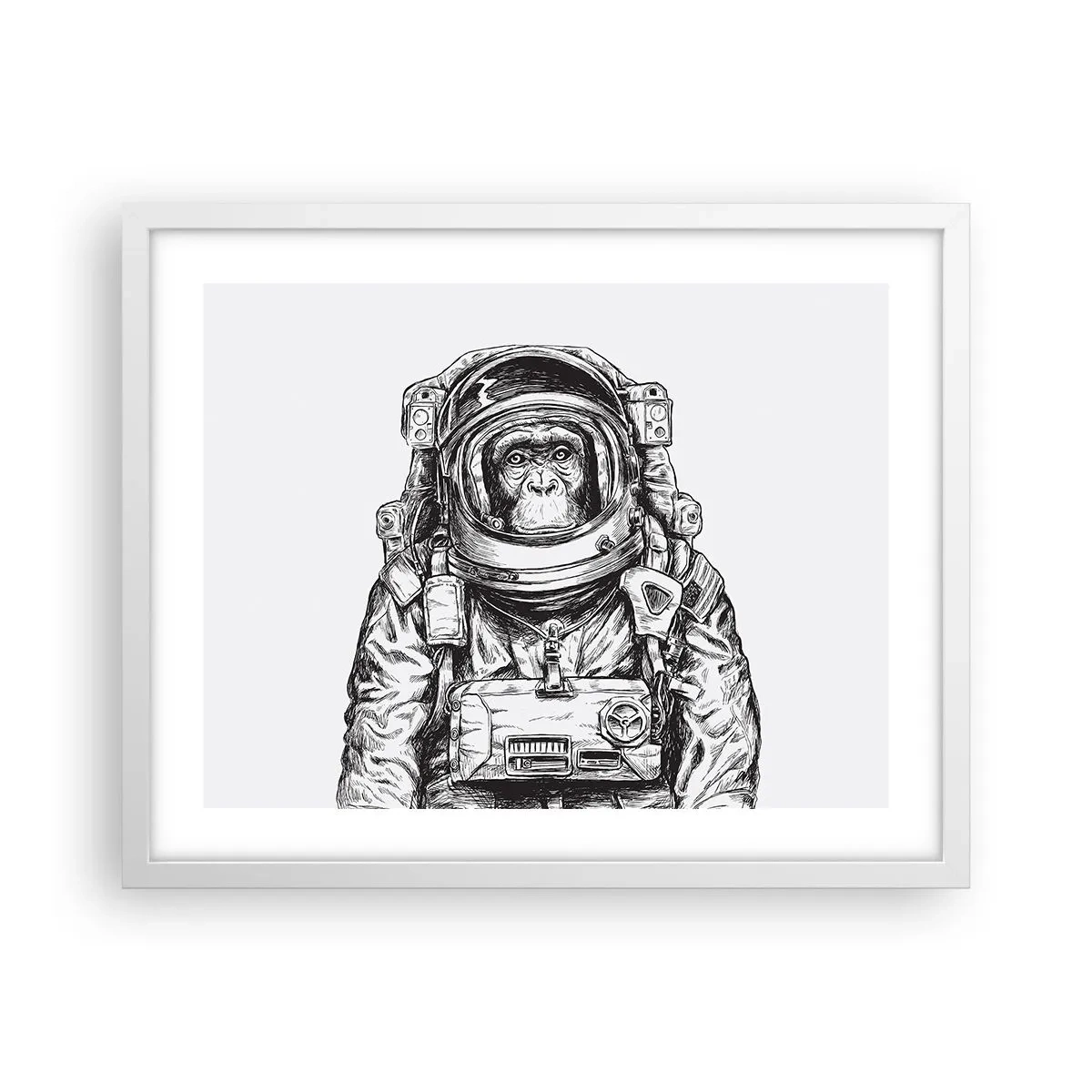 Poster in einem weißen Rahmen - Alternative Evolution - 50x40 cm