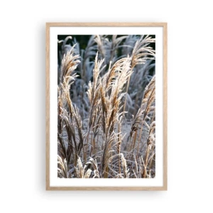 Poster in einem Rahmen aus heller Eiche - Gekleidet mit Frost - 50x70 cm