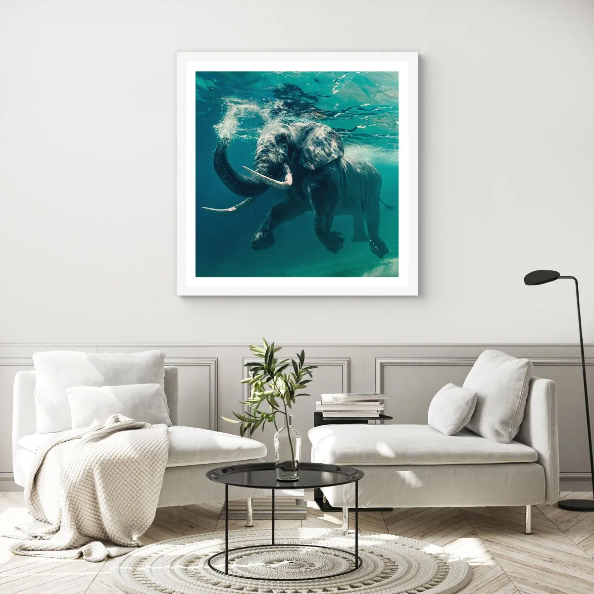Poster in einem weißen Rahmen - Jeder schwimmt gerne - 50x50 cm