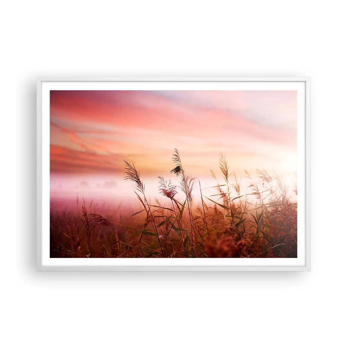 Poster in einem weißen Rahmen - Drachen, Löwenzahn, Wind - 100x70 cm