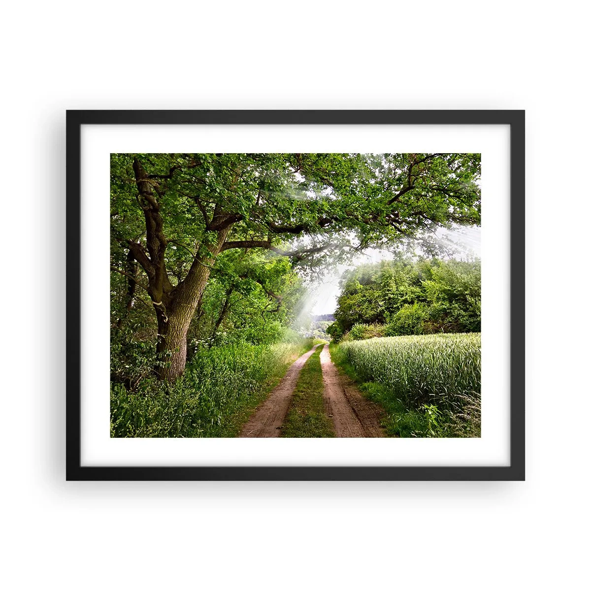Poster in einem schwarzem Rahmen - Et in Arcadia ego - 50x40 cm