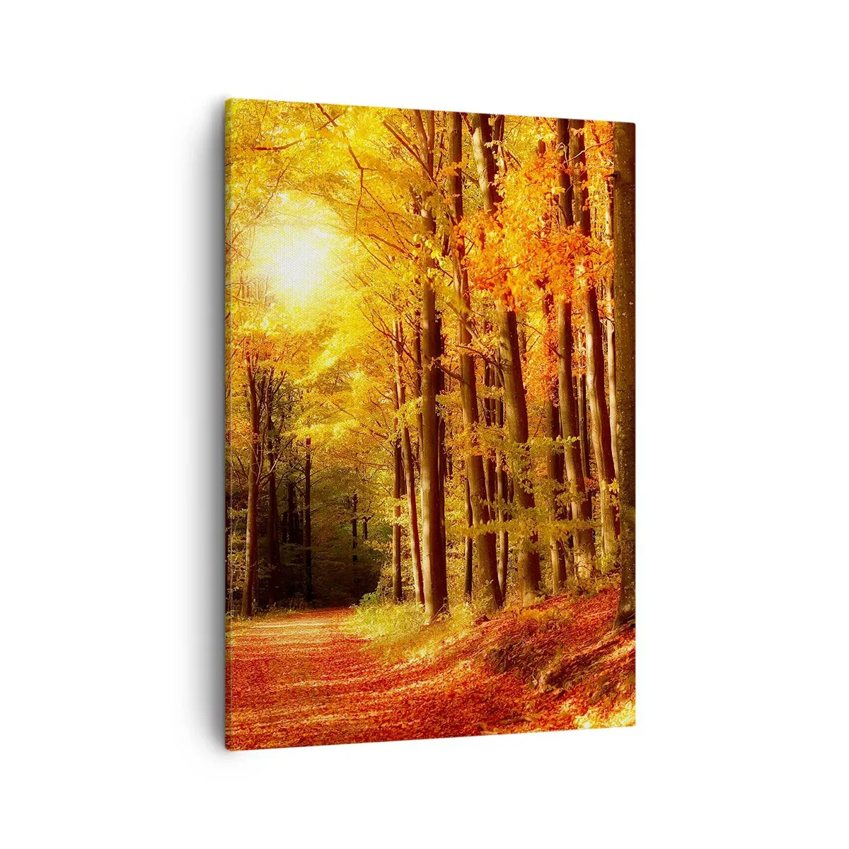 Bild auf Leinwand - Leinwandbild - Herbstwald mit Sonnenstrahlen, die durch die Bäume scheinen - 50x70cm - Goldener Herbst auf einer Forststraße - Moderne Wanddekoration für Wohnzimmer und Schlafzimmer ARTTOR