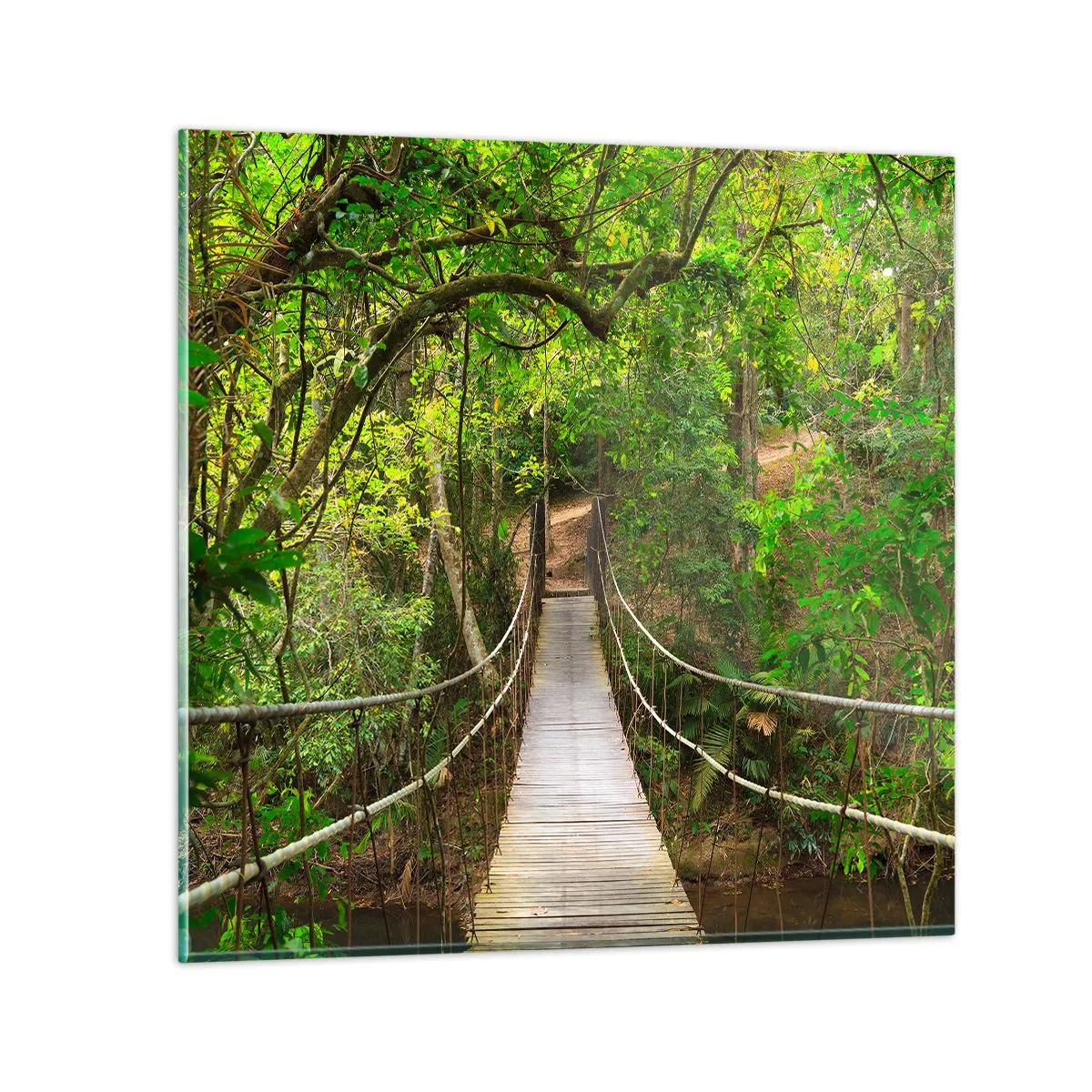 Glasbild - Bild auf glas - Denn im Garten gibt es eine Schlingpflanze - 40x40 cm
