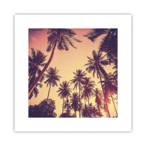 Poster - Tropische Variante - 30x30 cm